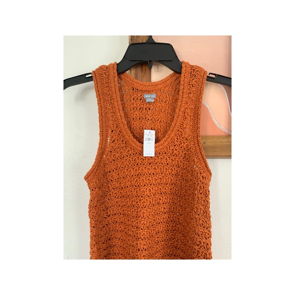 Aerie Crocheted Tank Top in Rust